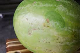 3 tips to pick out a sweet watermelon. How To Pick Out A Good Watermelon Tips Tricks Lil Luna