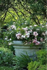 Madabout Garden Design Via Pinterest Discover And Save Creative Ideas Garden Urns Ground Cover Roses Garden Containers