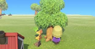 The key to proper fruit tree pollination is timing. Acnh Fruit Trees Guide How To Get Fruit Fruit List Animal Crossing Gamewith
