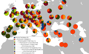 「Write a comment acatastasia」の画像検索結果
