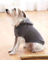 Only 1 available and it's in 12 people's carts. Sparky S Favorite Knit Sweater Allfreeknitting Com
