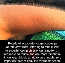 Meaning of goosebumps in english. Meaning In Music Home Facebook