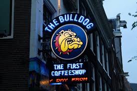 Der bulldog coffeeshop im rotlichtviertel war in den frühen 1970er jahren einer der ersten coffeeshops in amsterdam. Best Coffeeshops In Amsterdam Ultimate Guide To The Amsterdam Coffeeshops Menu Drifter Planet