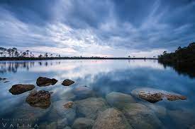 Pin On Nature Photography Tips