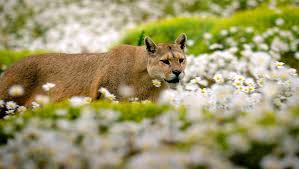 BBC Earth Announces 'Planet Earth III,' 'Frozen Planet II,' and Three  Others In Development | Fstoppers