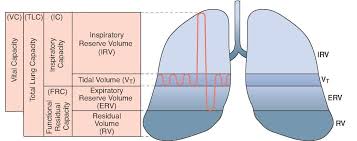 Pin On Patient Inspection Etc