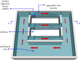 Hydrodynamics Of An In Pond Raceway System With An Aeration