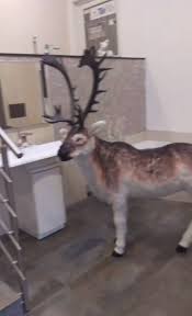 Fliesen in iserlohn 10 aktuelle adressen mit bewertungen und öffnungszeiten jetzt bei lokalwissen anzeigen! Fliesen Kramer Gmbh Co Kg Startseite Facebook