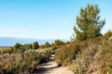 13 900+ Garrigue Photos, taleaux et images libre de droits ...