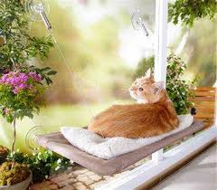 Sunny Seat Cama Yapisan Kedi Yatagi