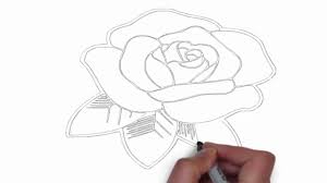 Ingat lho bahwa didunia ini tidak ada yang sempurna kecuali allah subhanahu wa taala. 10 Cara Menggambar Bunga Mawar Paling Mudah Terbagus Lingkar Png