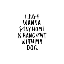 I am always sad to see a dog returned to a shelter after a couple of. I Just Wanna Stay Home And Hang Out With My Dog Funny Dog Quote Typography Dig Puppy Quotes Dog Quotes Dog Quotes Funny