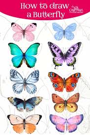 How To Draw A Butterfly Step By Step Easy And Fast Craft Mart Butterfly Drawing Beautiful Butterflies Art Butterfly Art Drawing