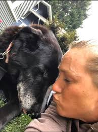 Transformations are our favorite part of the job, but it's even better when  the family pup stops by to say “thank you!” 🐾☀️ Every project, big or  small, ends with smiles (and