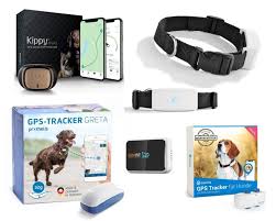 Gps tracker hund mit positionsverlauf und aktivitätstracking. Ll Die 10 Besten Gps Tracker Fur Hunde 06 2021 Heimhelden