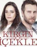 alime yilmaz adli kullanicinin diziler panosundaki pin pinterest