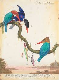 The latest tweets from india walton (@indiawaltonbflo). Walton Ford B 1960
