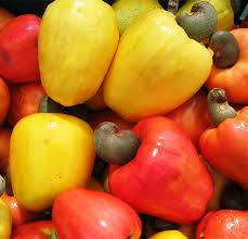 Image result for Anacardium