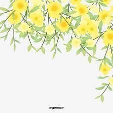 Yellow Hand Painted Fresh Spring Jasmine Hand Painted Soft Pale Spring Png Transparent Clipart Image And Psd File For Free Download Flower Png Images Yellow Spring Flowers White Flower Background