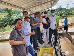 It is a domain having com extension. Turning Kampung Bomboi Keningau Into Agro Tourism Destination A Geraldine