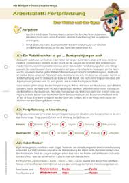 Arbeitsblatt Fortpflanzung Start by marking biologie der fortpflanzung im tierreiche as want to read to ask other readers questions about biologie der fortpflanzung im tierreiche, please sign up. arbeitsblatt fortpflanzung