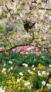 Giverny France Spring Scenery Monet Beautiful Gardens