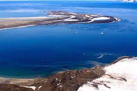 Auf der russischen doppelinsel nowaja semlja gibt es in diesem winter so viele davon, dass die. Arktisches Russland Expedition Ins Franz Josef Land Und Nach Nowaja Semlja