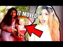 My Roblox Shark Cat In Real Life Roblox Youtube Roblox Real Life Youtubers