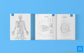 Anatomy coloring pages free to print are not only a fun way for studying anatomy, it also helps kids remember the body parts and structures better. Anatomy Coloring Books How To Use Free Pdf Kenhub