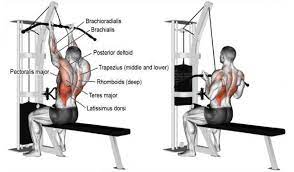 Lat machine zum kleinen preis bestellen. 4 Lat Pull Down Exercises For A Well Built Stronger Defined Back Gymguider Com Good Back Workouts Back Workout Bodybuilding Exercise Form