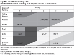 grading predictions of beef palatability beefresearch