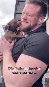 The big dawgs gotta look out for the little dawgs #puppy #dog #cute #fyp  #guyswholift #guyswithdogs