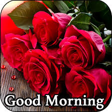 By sending these lovely good morning wishes with flowers images to your loved ones, not. Good Morning Flowers And Roses Messages Images Gif On Google Play For United States Storespy