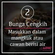 Ada beberapa petua atau cara yang anda boleh gunakan untuk menghalau cicak di rumah anda. 9 7 Cara Berkesan Halau Lalat Ideas Cara Online Magazine Women Online