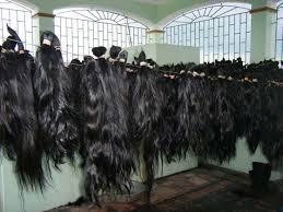 Straight hair is easy to curl, and curly or kinky hair will naturally curl if you're simply looking to include a braid or two in your current haircut, then you don't need to worry about face shape too much. Virgin Indian Braiding Hair Extensions Manufacturer Exporters From Coimbatore Id 2248767
