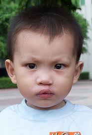 myadoptionwebsite.com