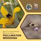 Devil’s Punchbowl Natural Area Pollinator Weekend