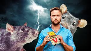 Mon coeur a des rat?s. La Lecon De L Esti De Gros Rat Degueulasse Urbania