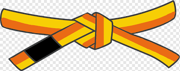 Brazilian Jiu Jitsu Ranking System Jujutsu Gracie Family Black Belt Belt Navi Angle Sport Orange Png Pngwing