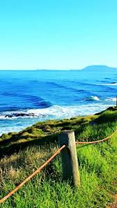 Las dietas las realizamos en el centro de ayahuasca ayllu sede taray (cusco) y también en nuestra área de conservación amazónica bahuaja en madre de dios. Sea Acres Tropical Rainforest Center Port Macquarie Nsw Australia Oceania