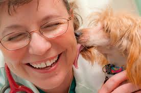 East-West Animal Hospital