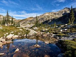Check spelling or type a new query. Where Do You Look For Rocks And Minerals In Bc Naturekidsbc