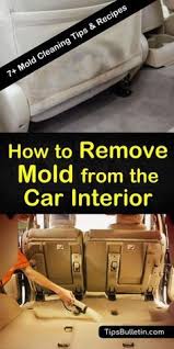 7 Ways To Remove Mold From The Car Interior Cleaning Car Upholstery Cleaning Car Interior Mold Remover