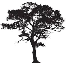 Black And White Illustration Png Silhouette Tree Png Clip Art Image Tree Silhouette Tattoo Tree Silhouette Silhouette Clip Art