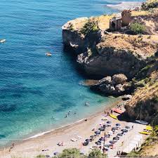 Image result for Milicia