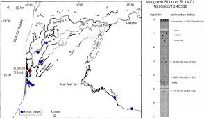 Image result for Kohautia microflora
