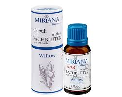 What are the bach flower remedies? Willow Bach Flower Alcohol Free 20g Miriana Flowers