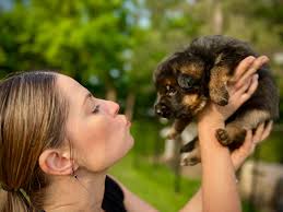 Needs a name I am completely stumped as I feel like nothing fits him. Join  group 👉 https://www.facebook.com/groups/1159008545563934