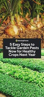 Tilling can be successful in vegetable gardens over the long term if organic matter is brought in every time. 5 Steps To Control Garden Pests In The Fall For Healthy Crops Next Year