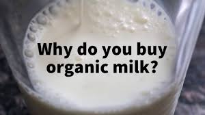 Organic Milk The Truth From Cow To Carton Toronto Star